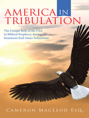 cover image of America in Tribulation